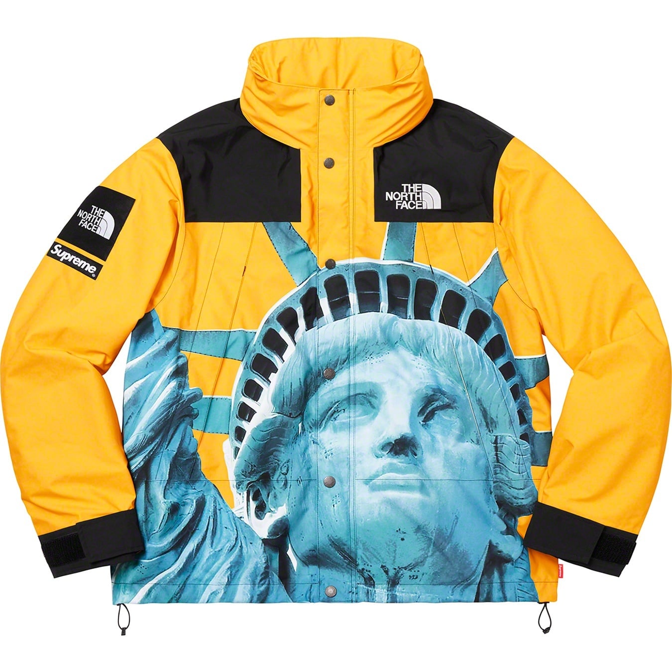 Supreme®/The North Face® Statue of Liberty Mountain Jacket view 14